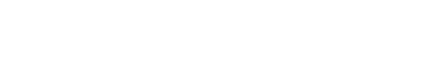 VIP Valet white logo